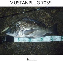 プロトミノーでRIDEON!