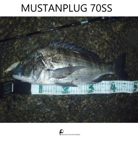 プロトミノーでRIDEON!