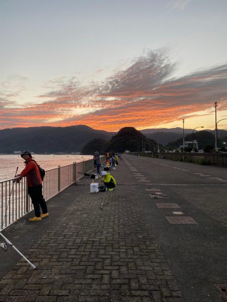 ショアジギングでサゴシとエギングでアオリイカ