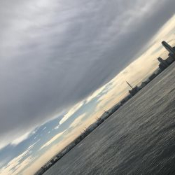 舞洲、青物で湧く!