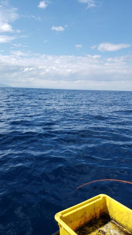 ティップラン終盤戦