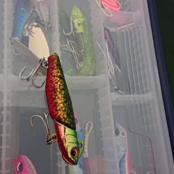 サーフ調査釣行 2020後期-1