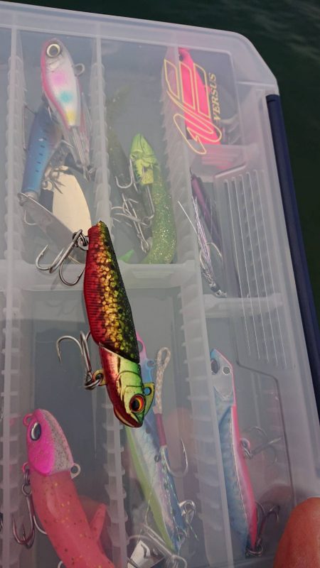 サーフ調査釣行 2020後期-1