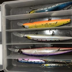 やっとハマチが釣れた