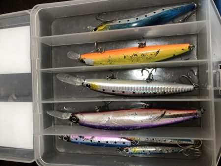 やっとハマチが釣れた