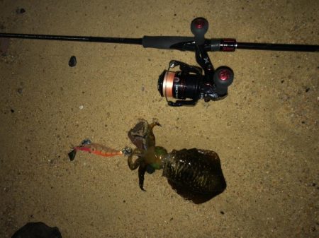 夜中の砂場遊び