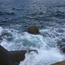 秋のトップ青物