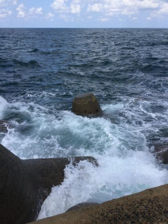 秋のトップ青物