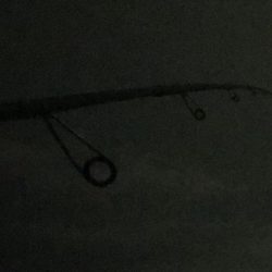 1時間隙間エギング