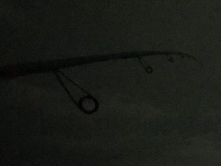 1時間隙間エギング