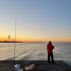 ナブラあるのになかなかヒットしないです( ノД`)…