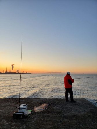 ナブラあるのになかなかヒットしないです( ノД`)…