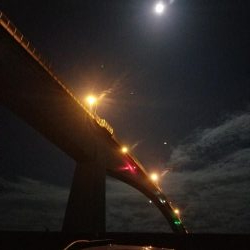 エギング　浦戸大橋下