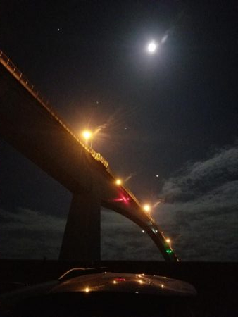 エギング　浦戸大橋下