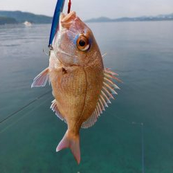 ショアジギングでロックフィッシュpart2