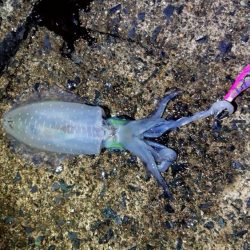 一番いい朝でした。