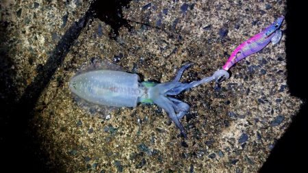 一番いい朝でした。