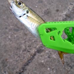 風に負けました