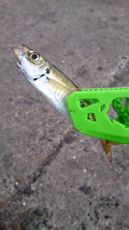 風に負けました