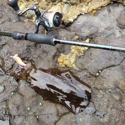 なかなか厳しくなってます( ノД`)…