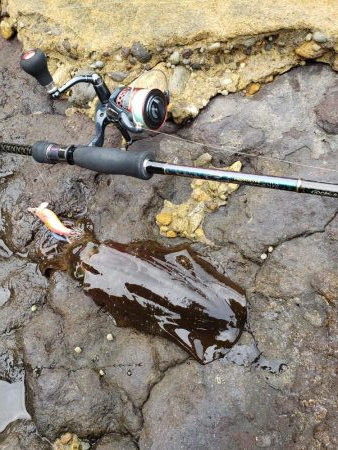 なかなか厳しくなってます( ノД`)…