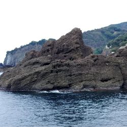 二回目の磯！！玉川地磯