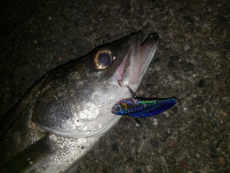 夜練釣行
