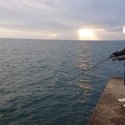 ようやく初タチ