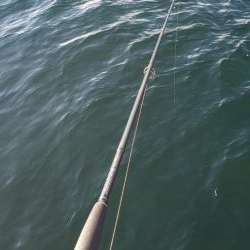 ショアジギング