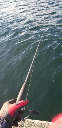 ショアジギング