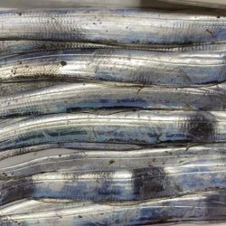 入れ食い、しかし