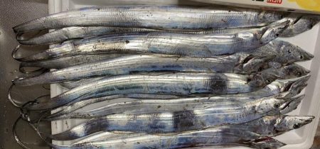 入れ食い、しかし