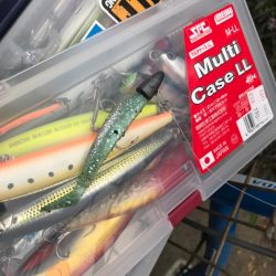 シーバス釣りパート3