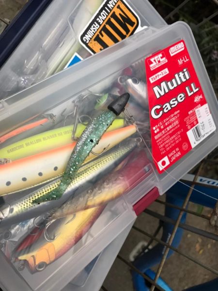 シーバス釣りパート3