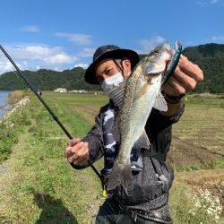 其の魚、狂暴につき。