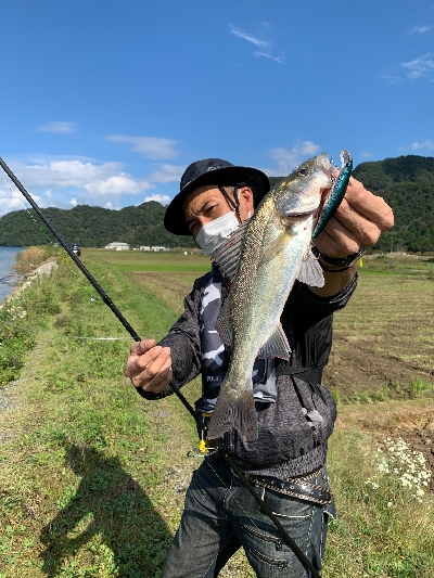 其の魚、狂暴につき。