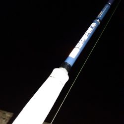 タチウオどこに···?