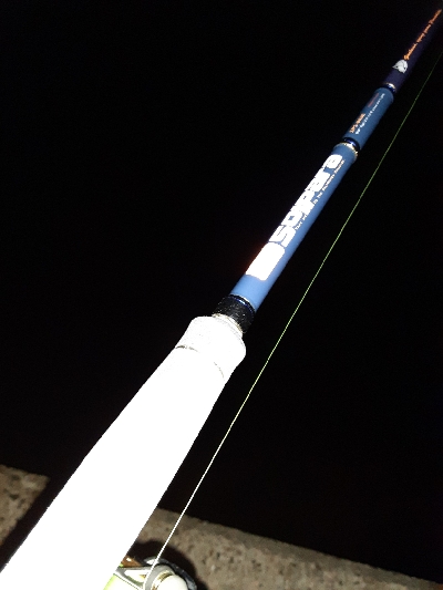 タチウオどこに···?