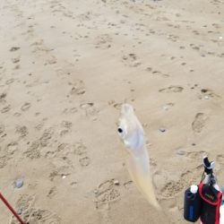 今日は、遅い出発。