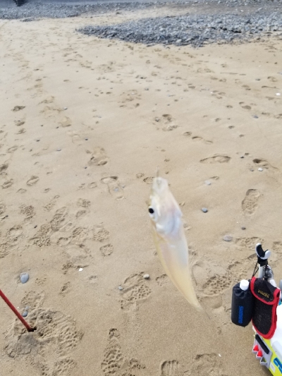 今日は、遅い出発。