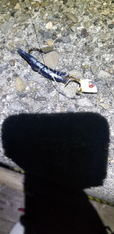 短時間で勝負　タチウオ編