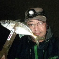 ほんまにおるんかなぁ?