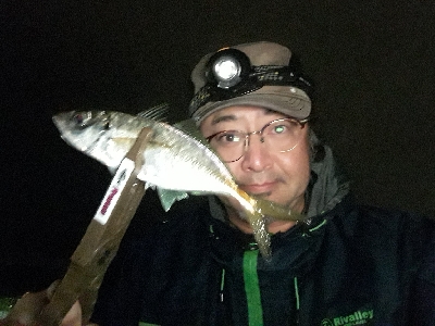 ほんまにおるんかなぁ?