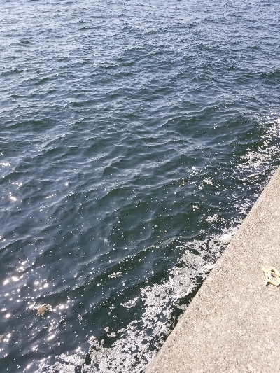 神戸沖堤防午前の部