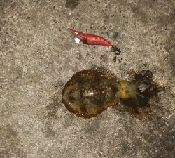 仕事が終わってからの