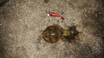 仕事が終わってからの