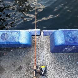 古い鱒レンジャー久しぶり登場