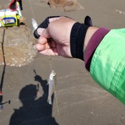 今日は満足です