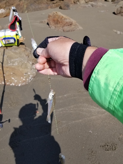 今日は満足です