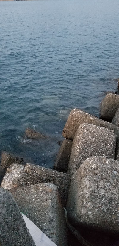 マズメ版タチウオ講座　参考に